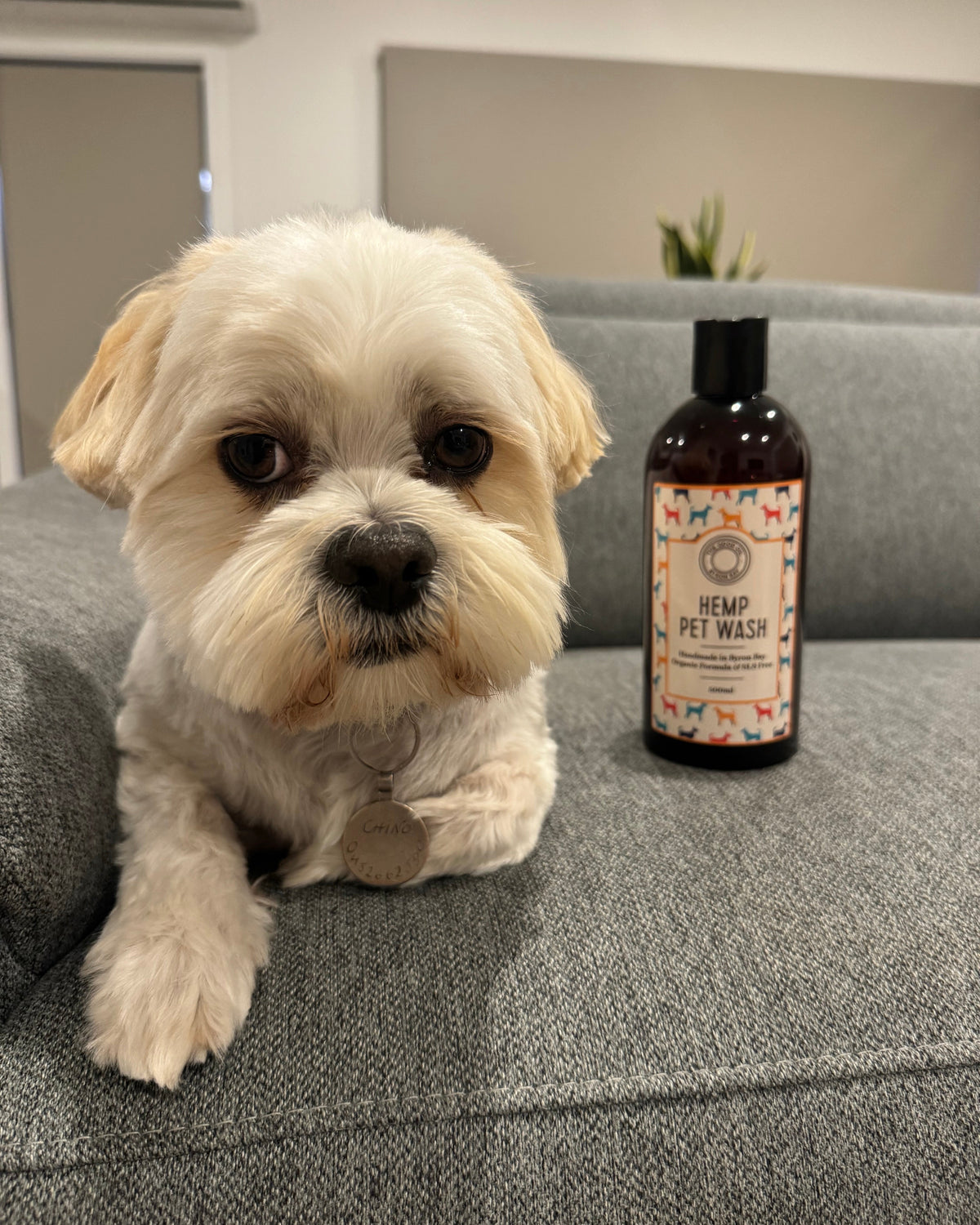 Hemp Pet Wash